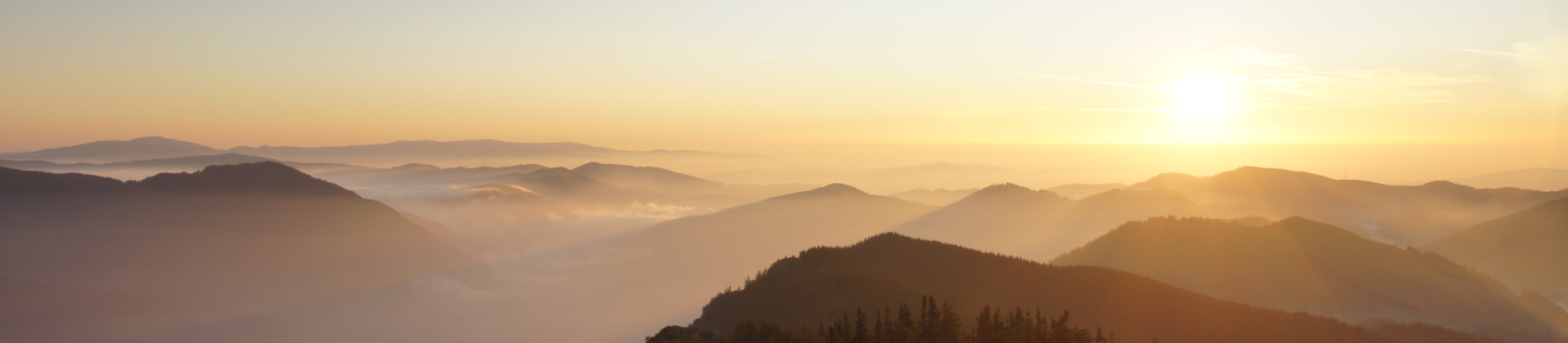 ��������88304����